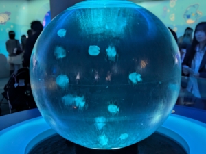毎日ブログ1,200日突破!続ける中で見えてきた私の発信スタンス